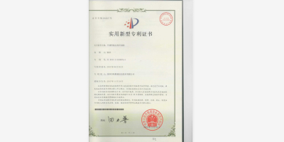 實(shí)用新型專(zhuān)利-4